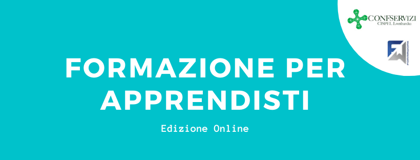 FORMAZIONE PER APPRENDISTI: la formazione di base e trasversale. Edizione Online