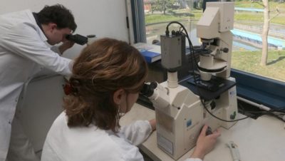 L’incertezza di misura in laboratorio: corso con crediti formativi