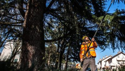 ASM MAGENTA | Avviso di selezione pubblica per l’assunzione di operai addetti alla manutenzione del verde pubblico