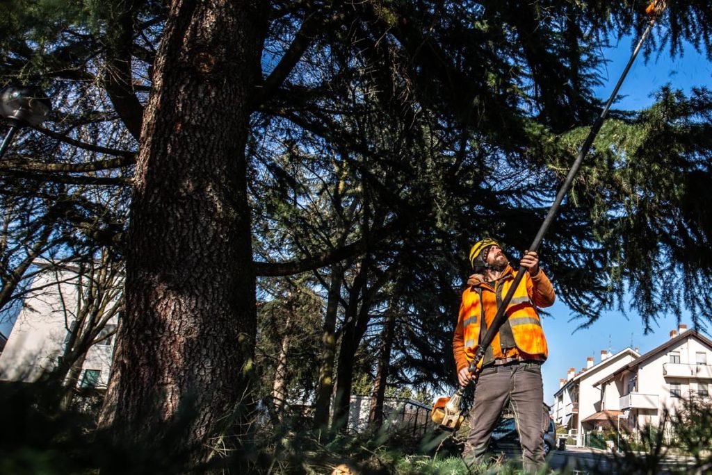 ASM MAGENTA | Avviso di selezione pubblica per l’assunzione di operai addetti alla manutenzione del verde pubblico