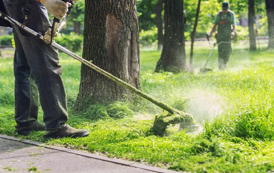 AMAGA S.p.A. ricerca n.1 Addetto alla cura e manutenzione del verde 